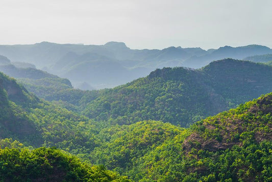 UNVEILING THE BOUNTY OF NATURE FOR HEALTH AND WELLBEING