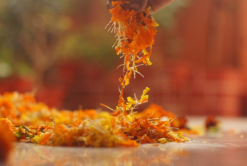 ONAM- A PRAYER OF HARMONY IN SYMPHONY!